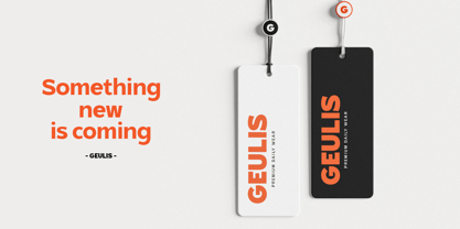Gradvis Font Poster 14