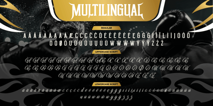 Singha Prestige Font Poster 9