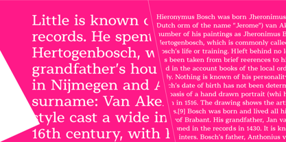 Avenyx Serif Font Poster 4