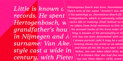 Avenyx Serif Font Poster 8
