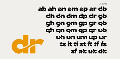 Garitz Font Poster 9