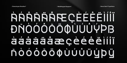 Neister Font Poster 11