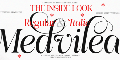 Medvilea Editorial Font Poster 9