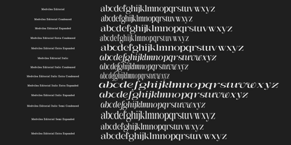 Medvilea Editorial Font Poster 12