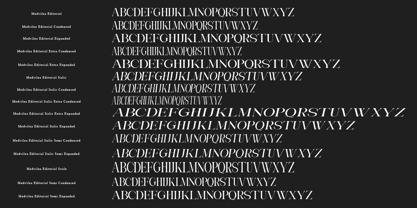 Medvilea Editorial Font Poster 13