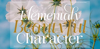 Medvilea Editorial Font Poster 7