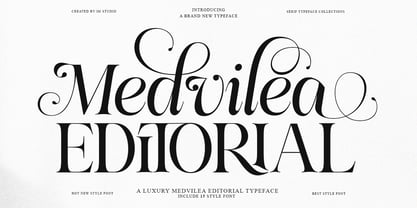 Medvilea Editorial Font Poster 1