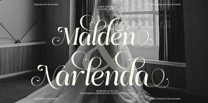 Medvilea Editorial Font Poster 8