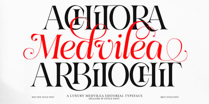 Medvilea Editorial Font Poster 3