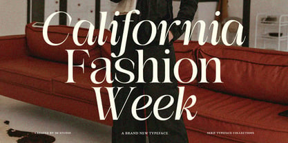 Medvilea Editorial Font Poster 6