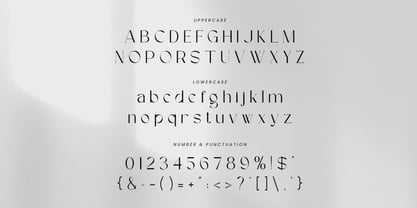 Maison Bright Font Poster 9