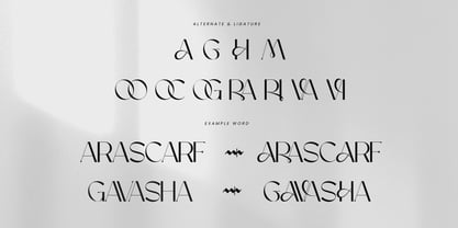 Maison Bright Font Poster 10