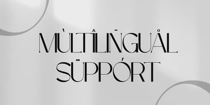 Maison Bright Font Poster 7