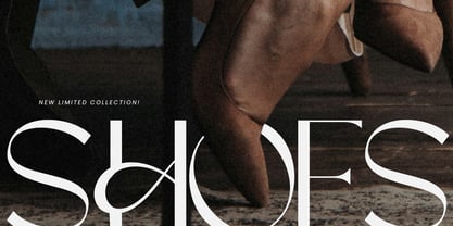 Maison Bright Font Poster 8