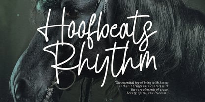 MC Haqutian Font Poster 2