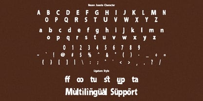 Neuev Juanto Font Poster 10