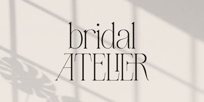 LT Verola Font Poster 13