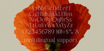 LT Verola Font Poster 11