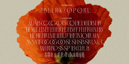 LT Verola Font Poster 12
