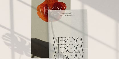 LT Verola Font Poster 14