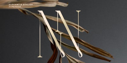 LT Verola Font Poster 9