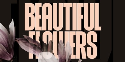 Rovex Font Poster 4