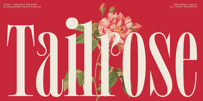 MTC Tailrose Font Poster 1