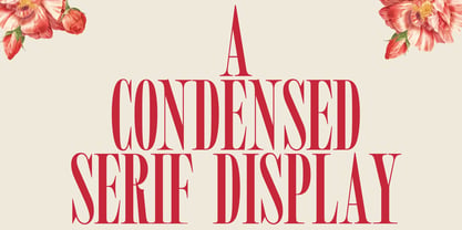MTC Tailrose Font Poster 3