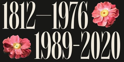 MTC Tailrose Font Poster 4