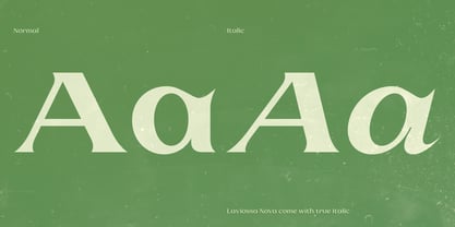 Laviossa Nova Font Poster 6