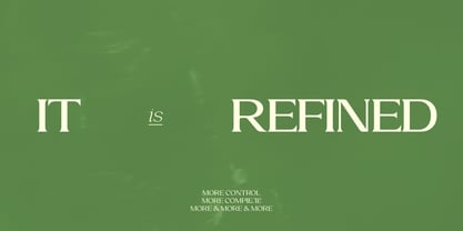 Laviossa Nova Font Poster 11