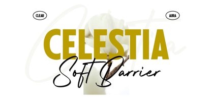 Shelvia Montanila Sans Font Poster 11