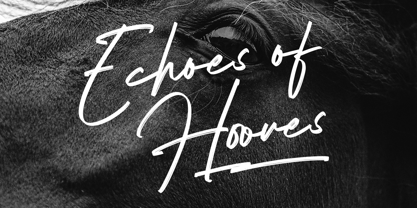 Shelvia Montanila Sans Font Poster 4