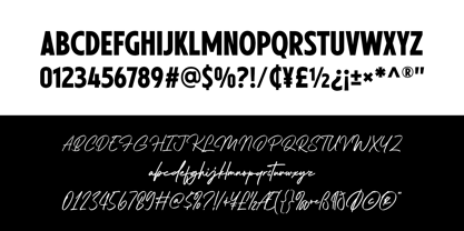 Shelvia Montanila Sans Font Poster 12