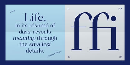 Bleshil Font Poster 10