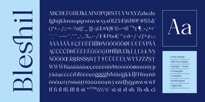 Bleshil Font Poster 15