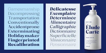 Bleshil Font Poster 14