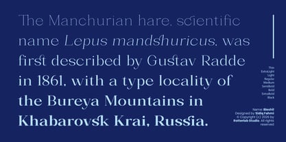 Bleshil Font Poster 5