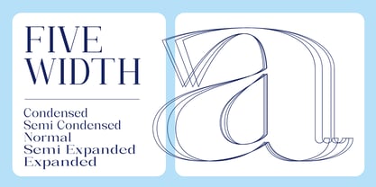 Bleshil Font Poster 13