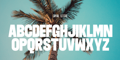 Amontic Display Font Poster 4