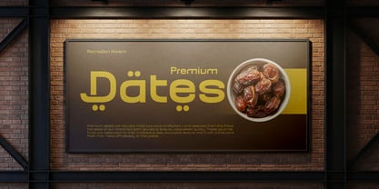 Balikan Font Poster 9