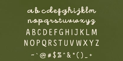 Honeyline Font Poster 4