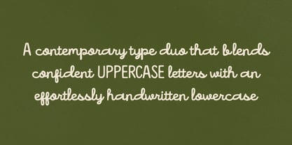 Honeyline Font Poster 3