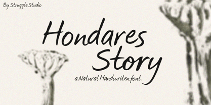 Hondares Story Font Poster 1