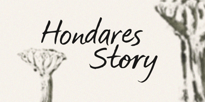 Hondares Story Font Poster 11