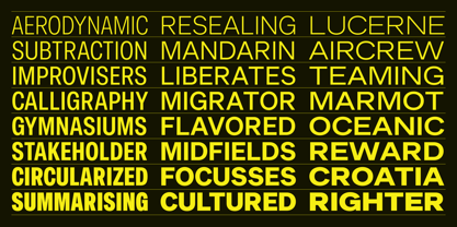 Sinar Grotesk Font Poster 6