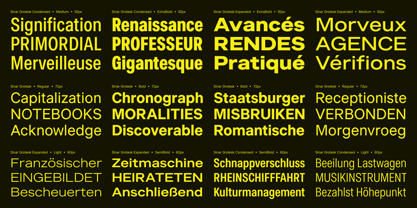 Sinar Grotesk Font Poster 4