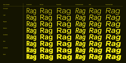 Sinar Grotesk Font Poster 2