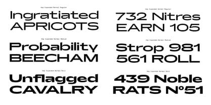 Hop Expanded Font Poster 6