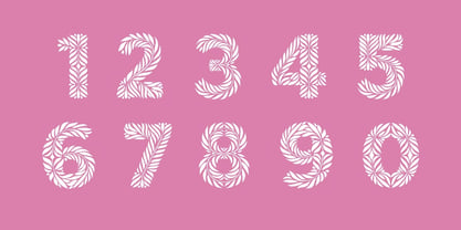 Artesana Font Poster 4